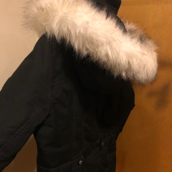 Puffer - Picture 4 of 6